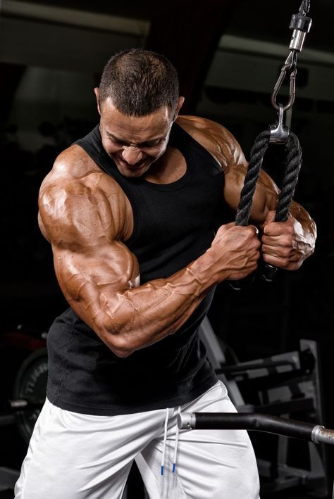 Energy & Performance