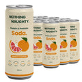 Nothing Naughty Protein & Prebiotic Soda RTD